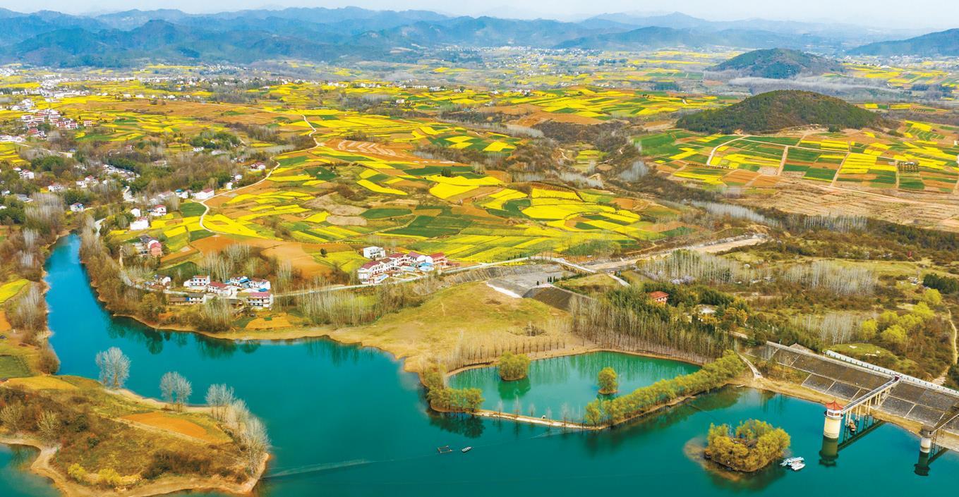 ���������Ͳ˻���