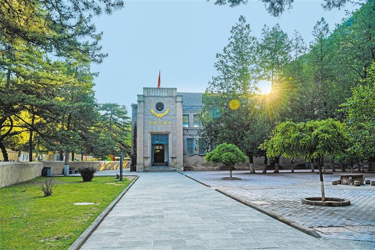 ����������ַ���������