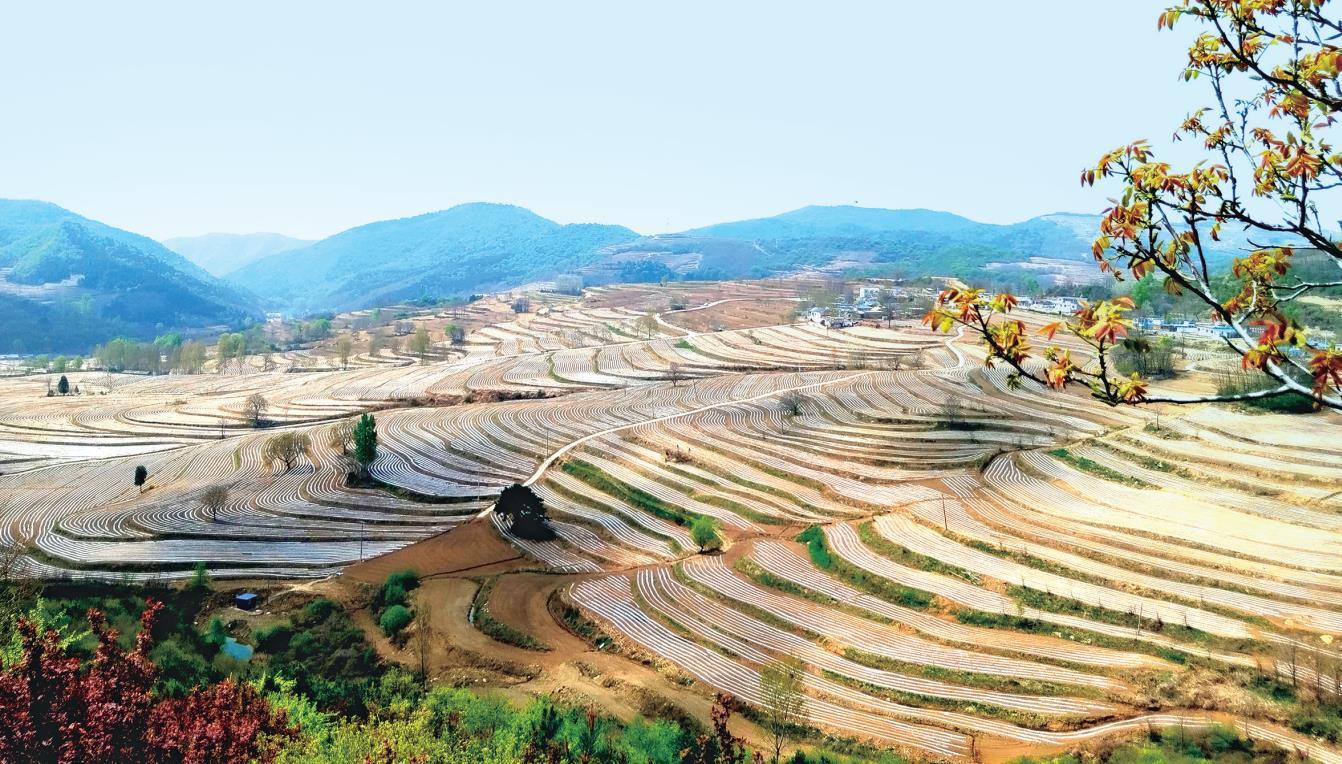 �˾��ؿ�Ȫ��ĺ������ﾰ��