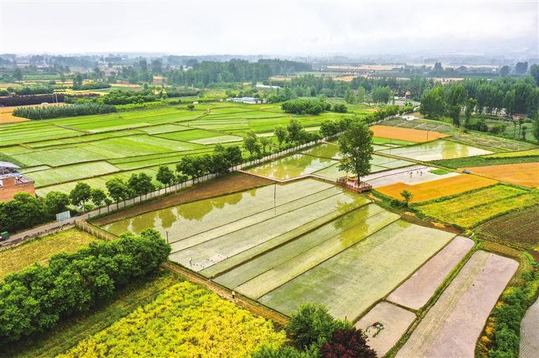 ���ؽ���