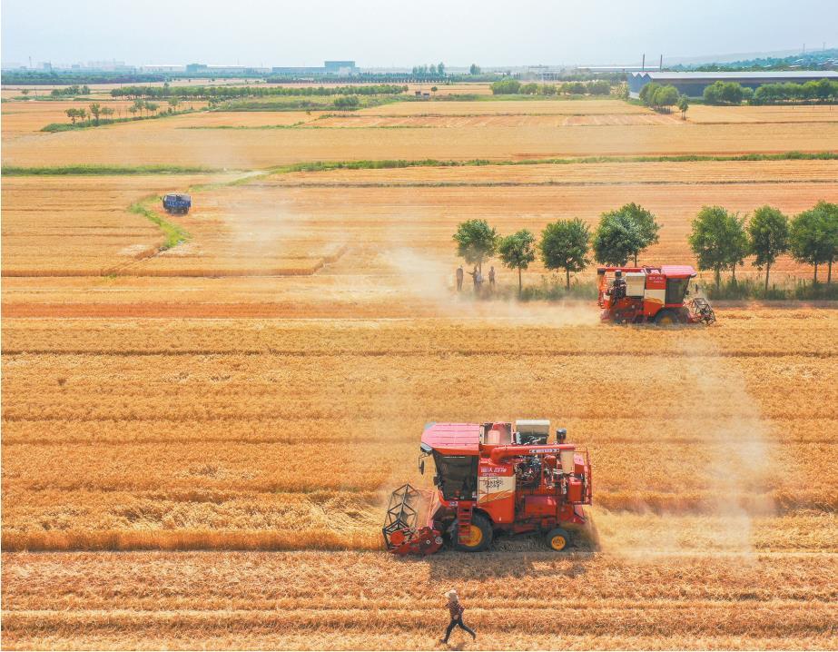 ����ʱ��