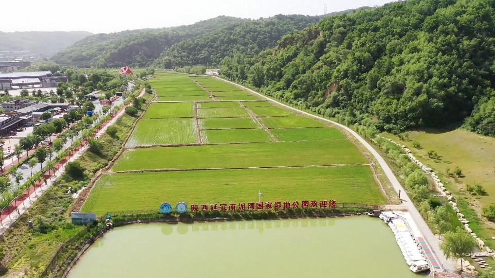 ��̬Ч���뾭��Ч�桰˫������