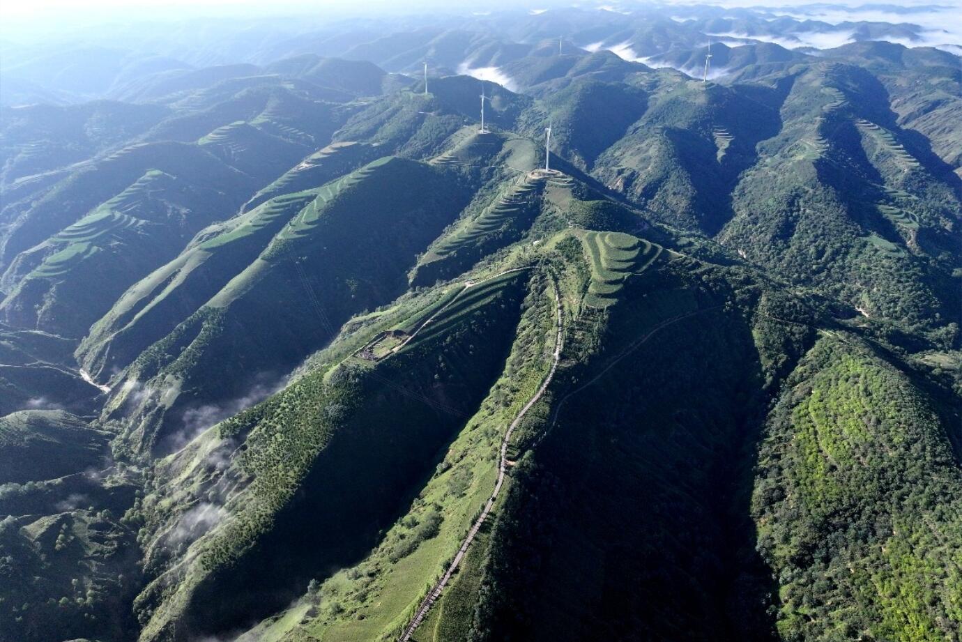 ������ԭ����ɫ