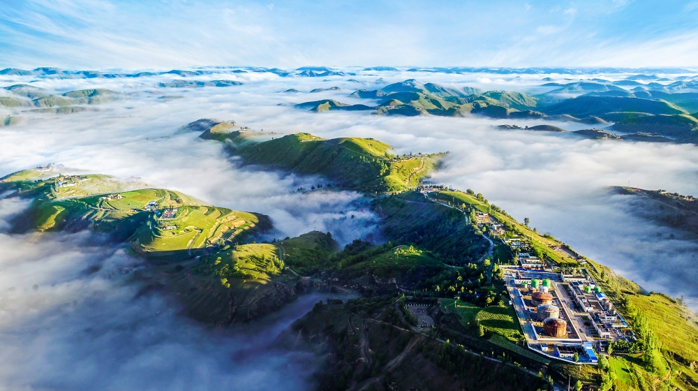 �ƺ�������̬��������