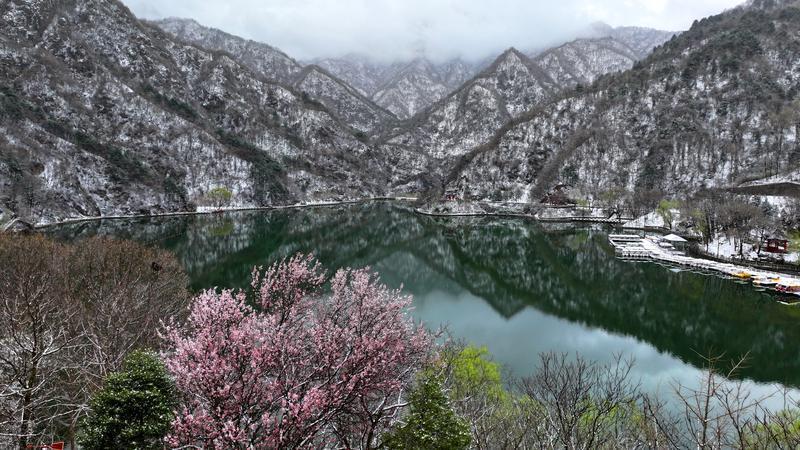 ��ѩ���ӻ� 