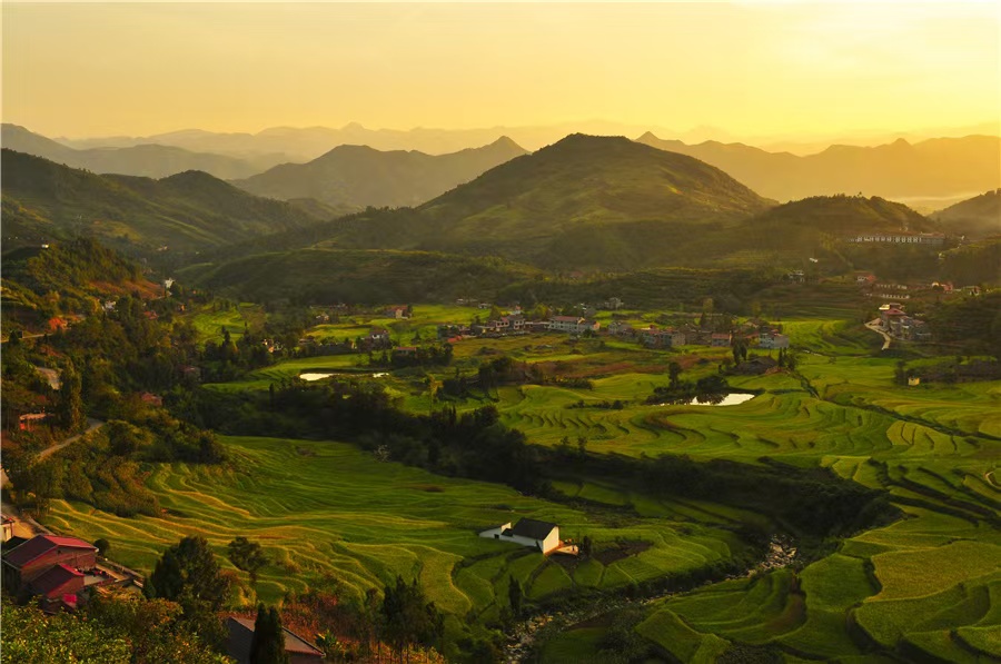 ����ʡ������������ķ������