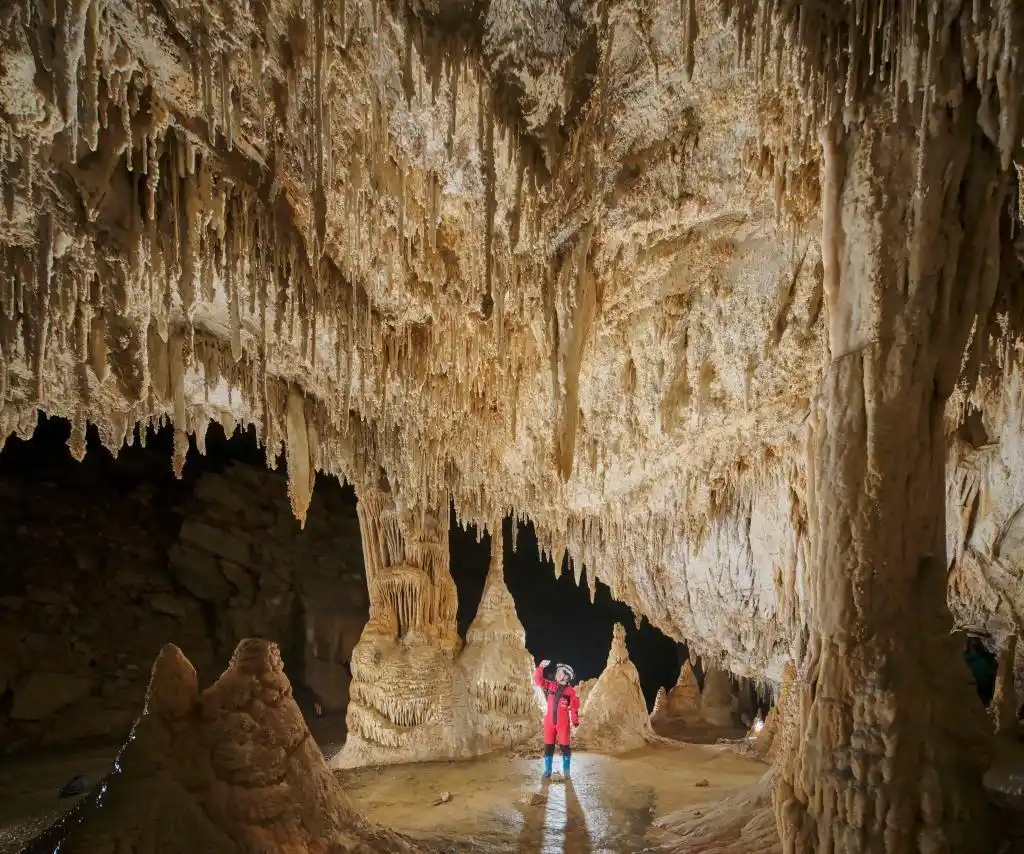 �������巢��4.8���ꡰ����ˮ������