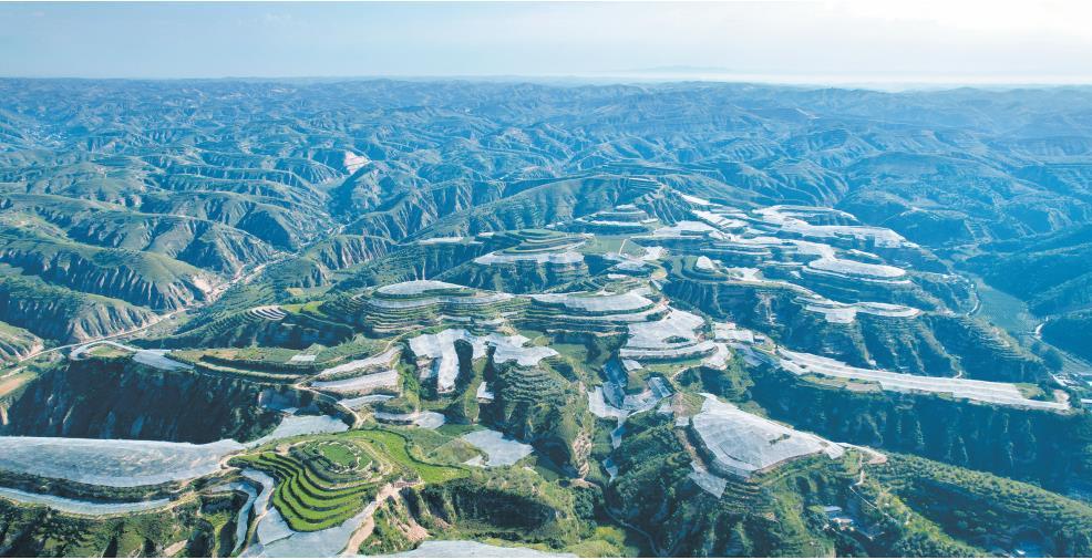 ���������