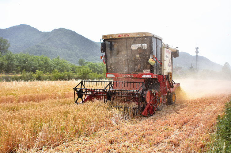 ���˷��� ������æ