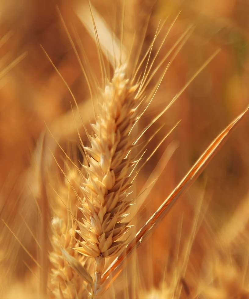 ���ӳ���ʱ