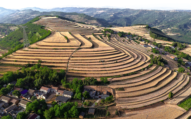 �����н�̨����ʯ�����ߴ������