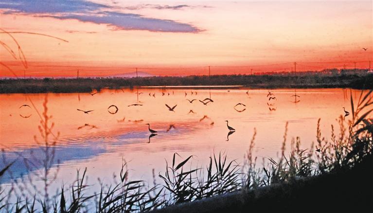 �ƺ�ʪ����̬�� ��������뻭��