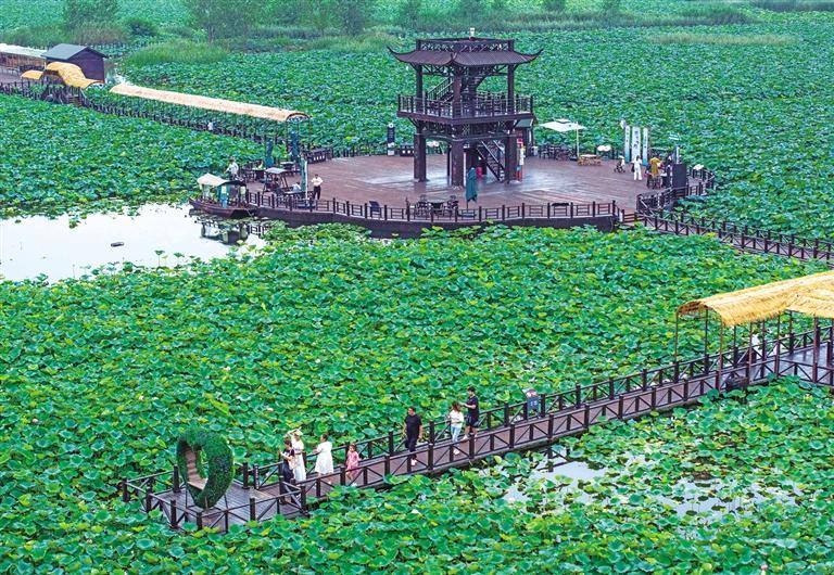 �˻�����Ķ��������