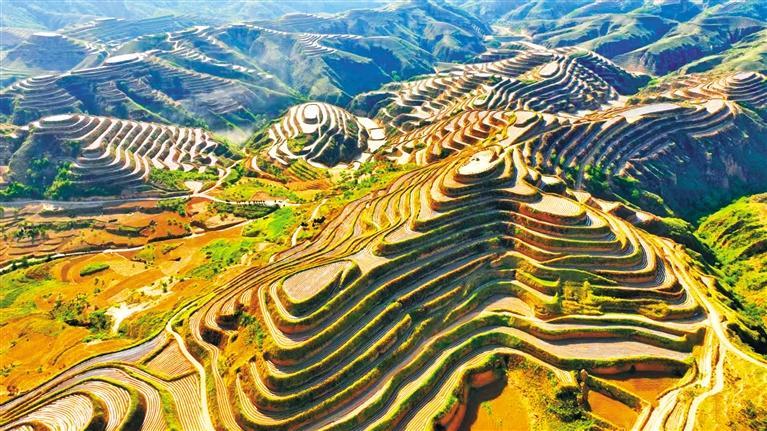 �����Ѧ�Һ�����Ķ��������