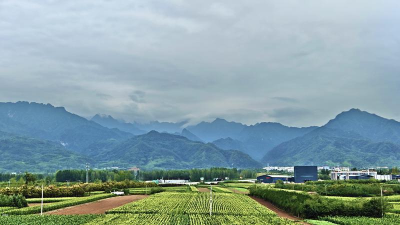 ���������ɽ��