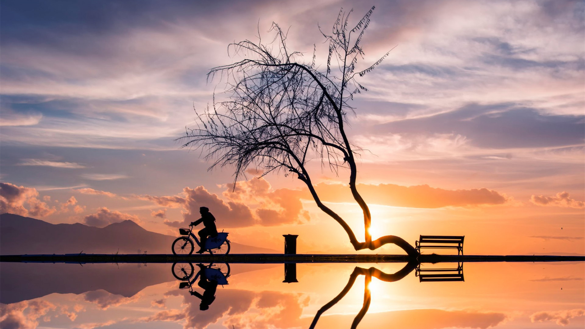 Ϧϼ����һɫ