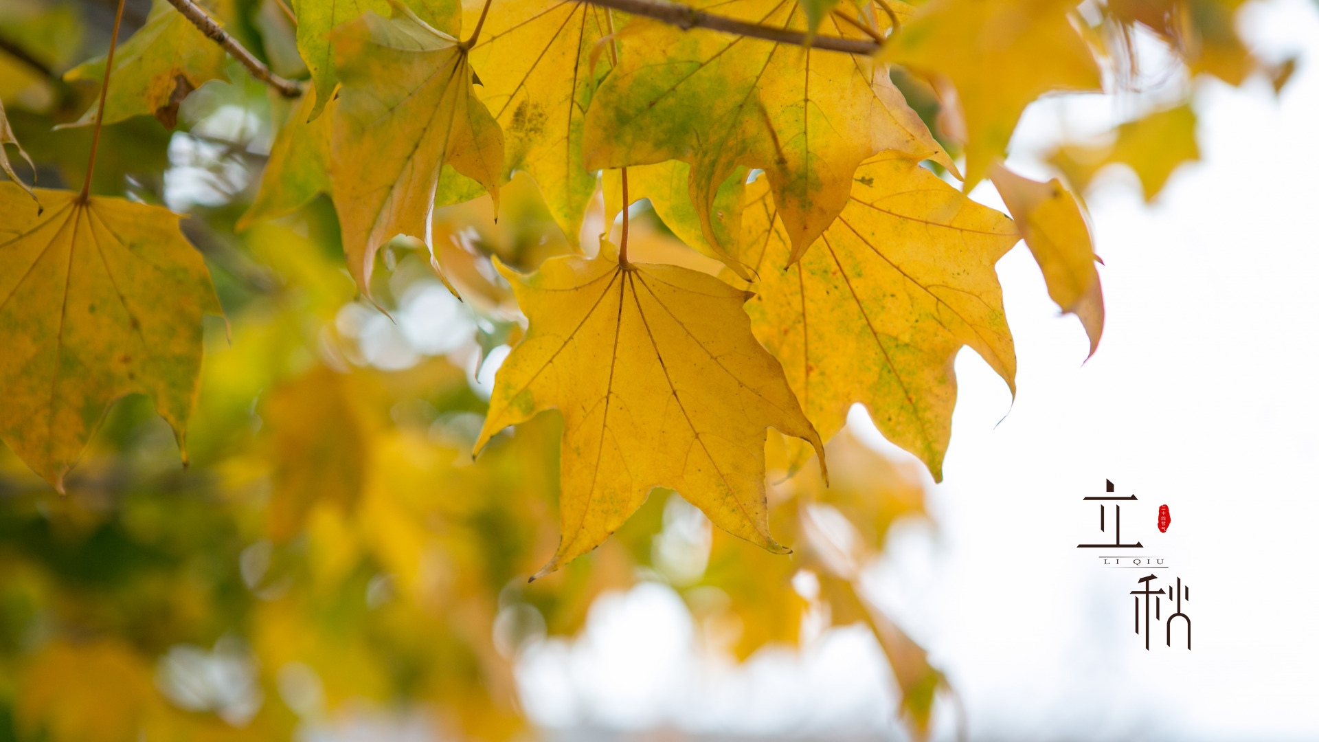 ����8��7