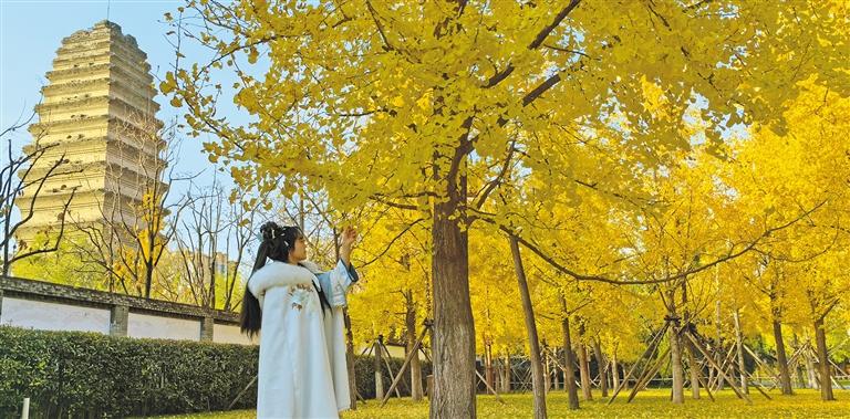 ����Ʈ��