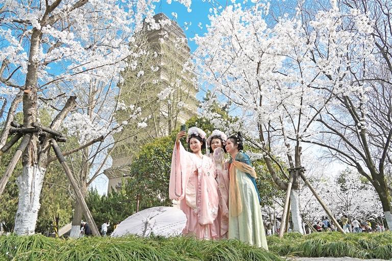 ������ɫ�뻭��