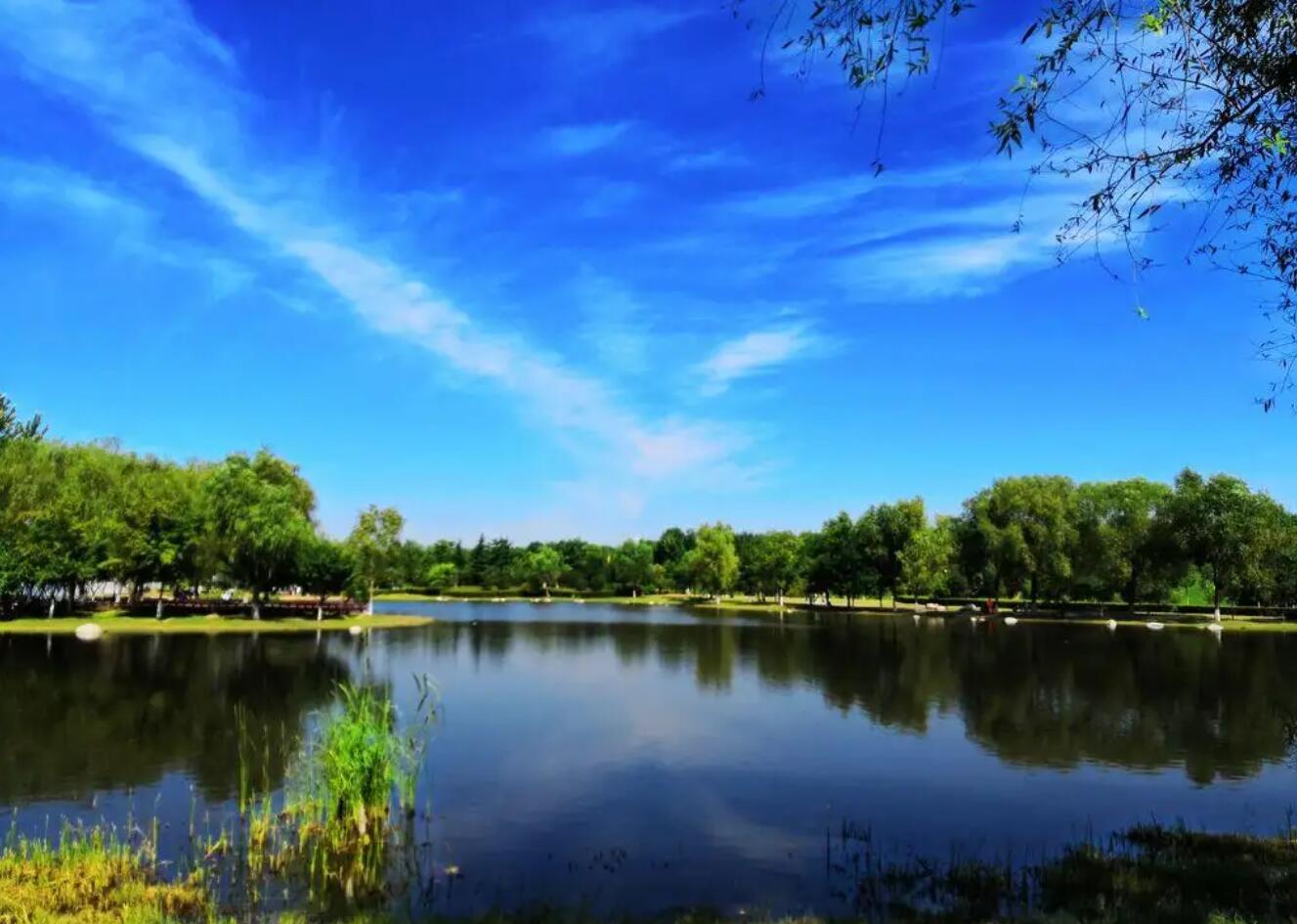  ���л����������� ������԰����Ʒ��